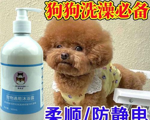 小猫洗澡的正确方法（不需要香波）