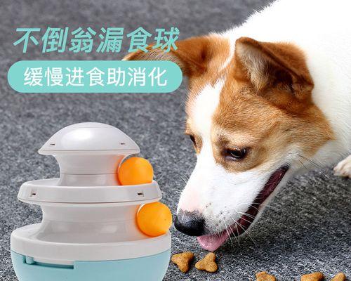 如何培养一只不爱吃狗粮的宠物狗（打造健康饮食习惯）
