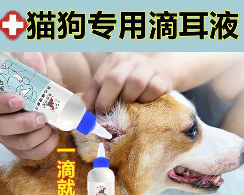 为什么不能咬猫咪耳朵？