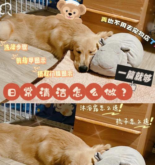 1.一个月大的小狗可以吃什么？