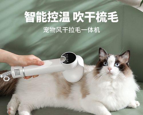 如何用正确的吹风机给宠物狗吹毛（选择适合宠物狗的吹风机）