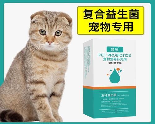 幼猫摔伤应怎么办（宠物护理必备）