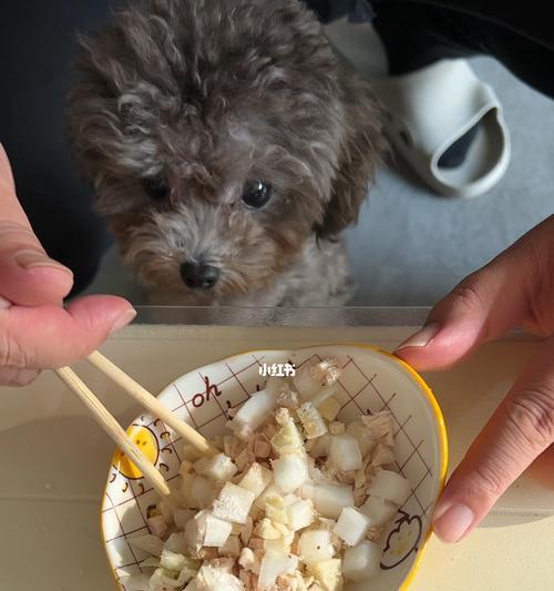 幼犬的饮食问题——吃什么拉什么（以宠物为主）