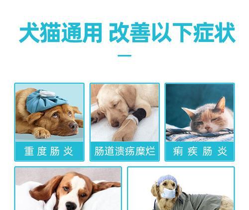 幼犬淌鼻涕应怎么办（探究幼犬淌鼻涕的原因和治疗方法）