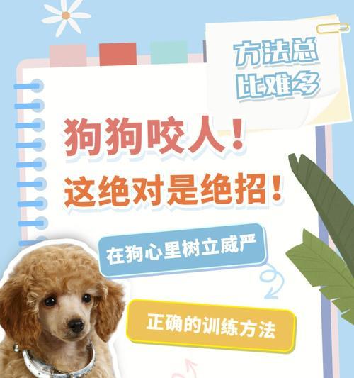 幼犬咬人之谜（探究幼犬咬人的原因和解决方法）