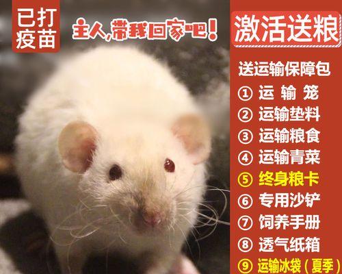 幼犬必须接种的疫苗种类和时机（宠物健康从小抓起）