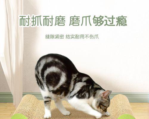 如何帮助你的小猫磨爪子（从宠物主人的角度出发）