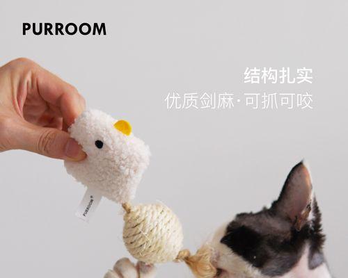 让宠物猫不再随意咬东西（如何训练宠物猫不咬家具和电线）