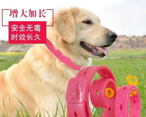 除跳蚤必知，让你的宠物远离跳蚤困扰（宠物跳蚤的危害及除蚤方法）