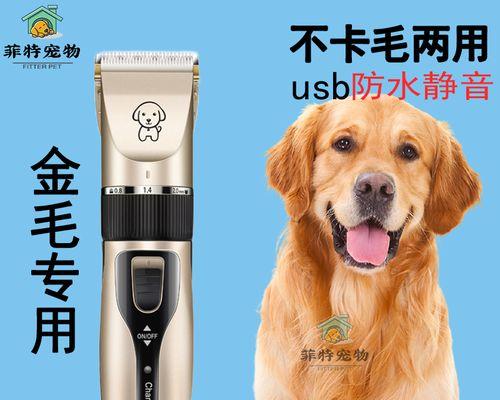 DIY内裤，给宠物狗狗打造舒适健康的生活（如何为宠物狗狗量身定制内裤）
