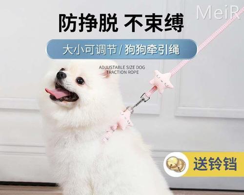 狗绳使用指南（如何正确地给宠物套上狗绳）