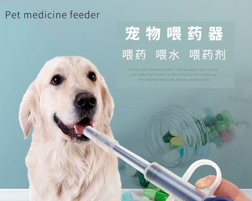 如何为宠物狗注射血清（详细介绍注射血清的方法和注意事项）