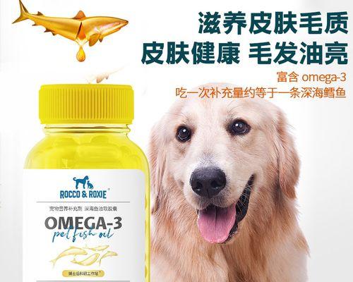 如何正确给宠物猫咪喂胶囊（学会正确的方法）
