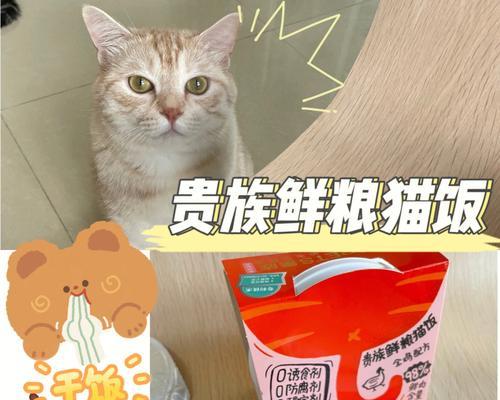 如何为宠物猫咪做营养均衡的猫饭（宠爱从餐桌开始）