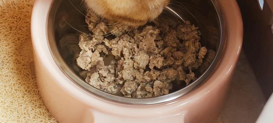 如何为宠物猫咪做营养均衡的猫饭（宠爱从餐桌开始）