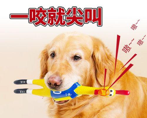 教你的宠物狗狗不咬鸡（从训练开始到树立正确的行为准则）