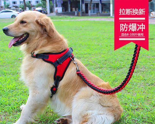 如何控制狗狗抱腿（有效方法和注意事项）