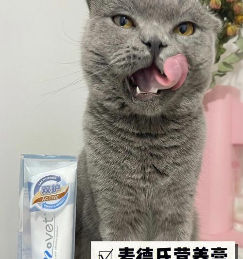 如何让宠物猫吃下营养膏（掌握正确的喂食方法）