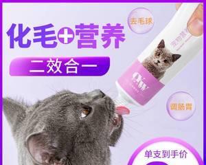 如何让宠物猫吃下营养膏（掌握正确的喂食方法）