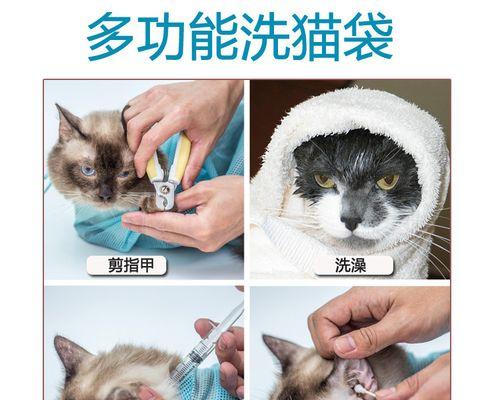 小猫如何剪指甲（宠物主人必知的技巧和方法）