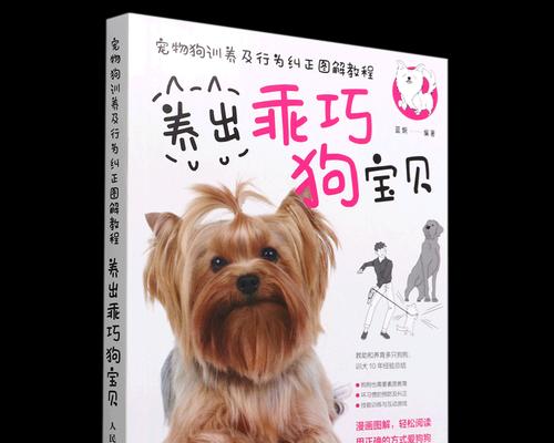 训练你的宠物狗狗正确吃东西的方法（让你的狗狗学会“等待”和“放手”指令）