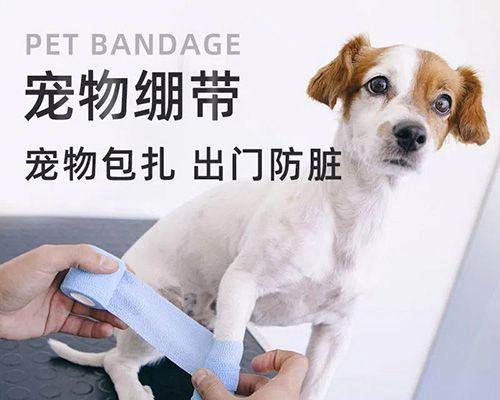 宠物狗狗抽搐的防治方法（预防胜于治疗）