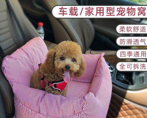 狗狗过敏如何预防（以宠物为主）