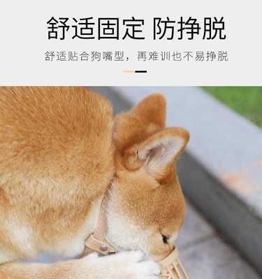 小狗的嘴巴，探寻不为人知的秘密（从咬合力到口腔健康）