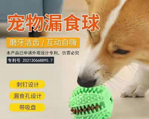 如何训练你的小狗站立（10个简单的步骤让你的小狗轻松站立）