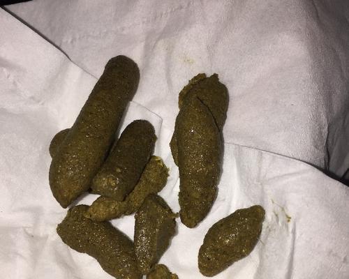 小狗拉的便便有血丝，如何处理（探究小狗便便出现血丝的原因及治疗方法）