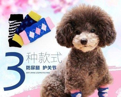 小狗老咬腿该如何应对（使用药物喷雾治疗是最好的选择）