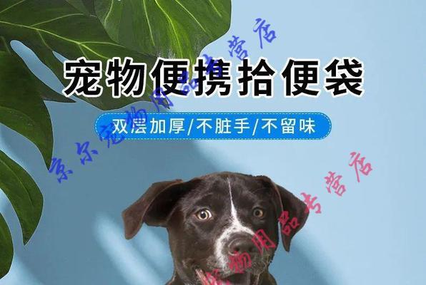 宠物小狗没有大便怎么办（遇到这种情况该怎么处理）