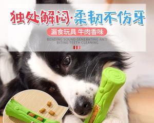 宠物小狗的营养需求（营养专家解析小狗食谱）