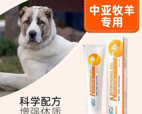小狗呕吐该怎么办（宠物主人必读的小狗呕吐处理指南）
