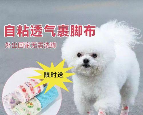 小狗为何喜欢吃主人的脚（探讨小狗口爱脚的原因及如何解决）