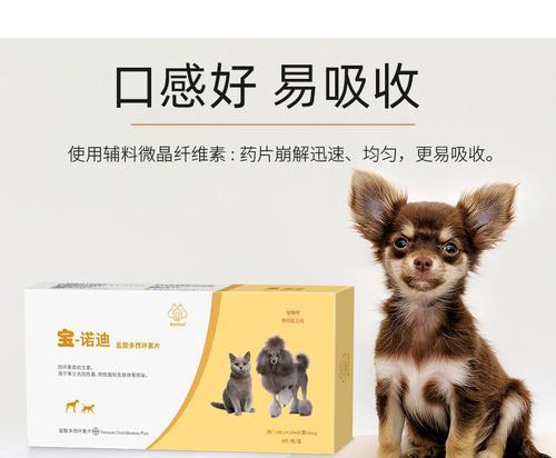 如何给宠物猫正确使用消炎药（小猫吃什么消炎药好）