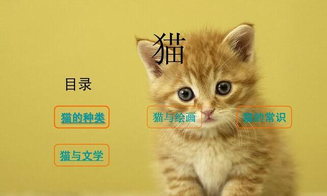 小猫躲在哪里（揭秘宠物小猫躲藏技巧）