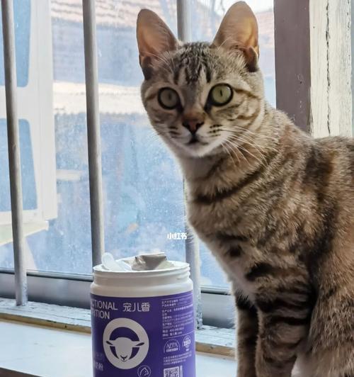 小猫拉肚子应该喝羊奶粉吗（羊奶粉的营养价值和适用性分析）