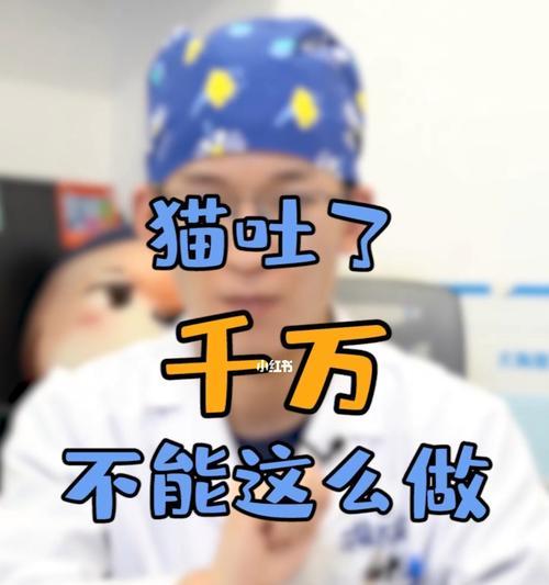 小猫呕吐物异常腥臭，该如何应对（以宠物为主的呕吐物管理攻略）