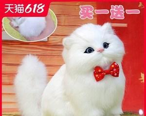 探究小猫的玩具喜好，让宠物更开心（探究小猫的玩具喜好）