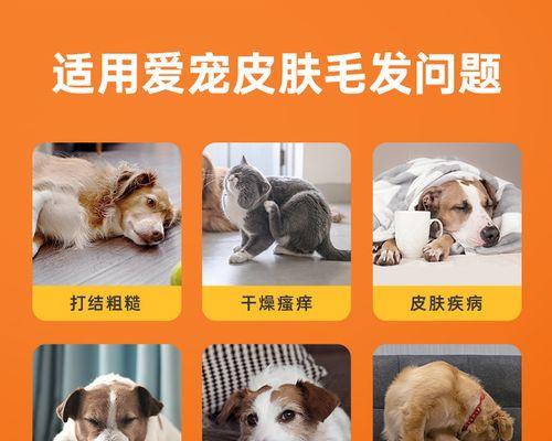 如何给宠物猫洗澡（掌握适宜水温）