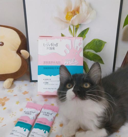 用心冲泡，健康喂养——小猫羊奶粉的正确冲泡方法（以宠物为主）