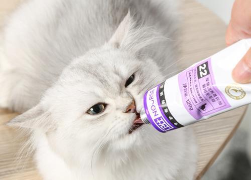 宠物猫咪的最佳去毛膏品牌（如何选择适合你的猫咪的去毛膏）