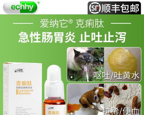 猫咪胀胃炎该如何治疗（药物治疗、饮食调理、定期观察）