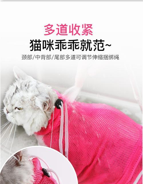 如何使用猫咪专用洗猫袋来给你的宠物洗澡（猫咪专用洗猫袋的正确使用方法以及注意事项）