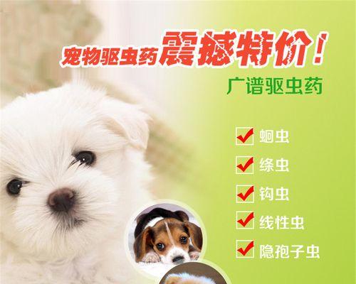 怀孕母狗如何打虫药（以宠物为主）