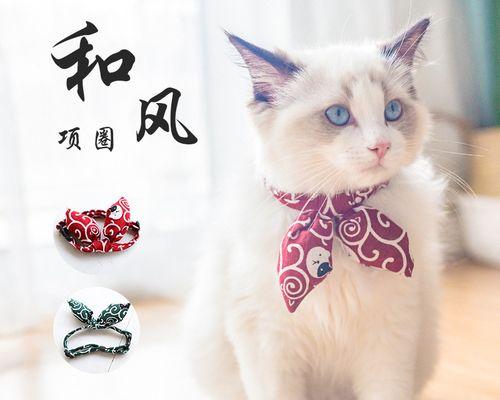 母猫为什么会咬小猫脖子（探究母猫行为背后的原因）