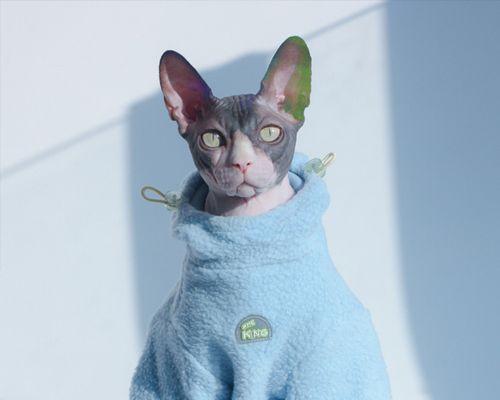 母猫为何咬小猫脖子（探究母猫咬小猫脖子的原因与影响）