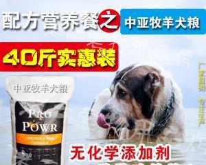 产后牧羊犬喂什么狗粮（以宠物为主）
