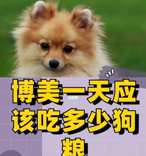 博美犬每天三斤狗粮能坚持多久（以宠物健康为重）